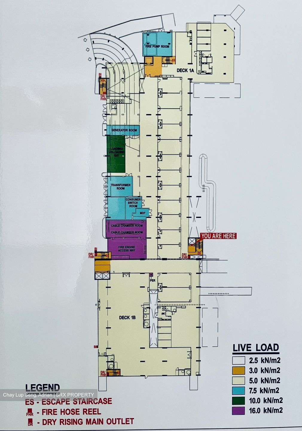 Macpherson Blossom (D13), Shop House #432301211